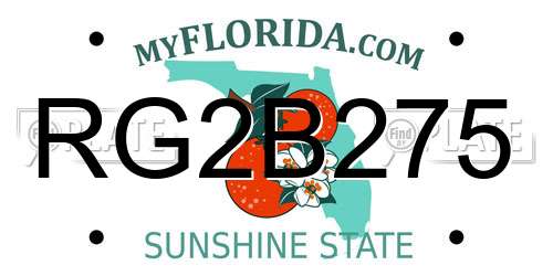 RG2B275 Florida License Plate