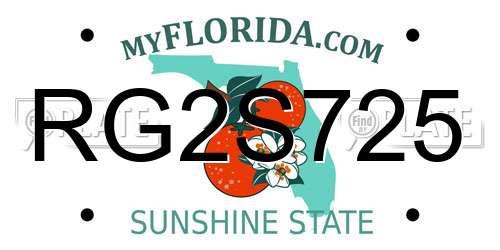 RG2S725 Florida License Plate