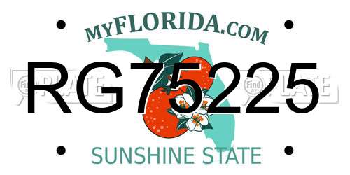 RG75225 Florida License Plate