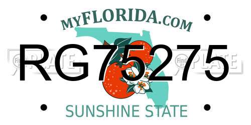 RG75275 Florida License Plate