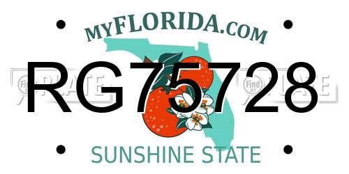 RG75728 Florida License Plate