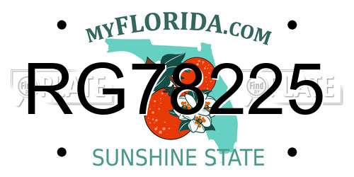 RG78225 Florida License Plate