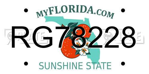RG78228 Florida License Plate