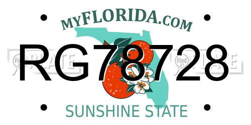 RG78728 Florida License Plate