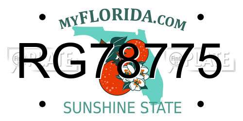 RG78775 Florida License Plate