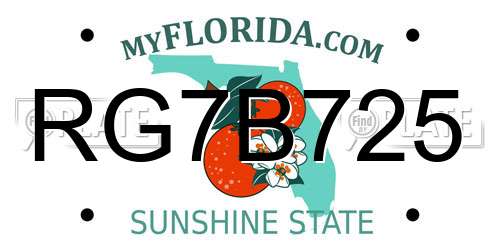 RG7B725 Florida License Plate
