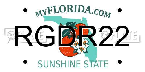 RGDR22 Florida License Plate