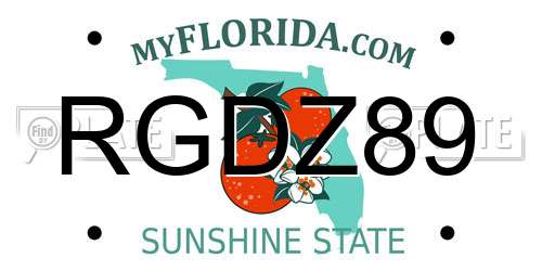 RGDZ89 Florida License Plate