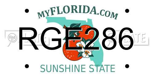 RGE286 Florida License Plate