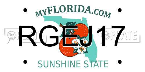 RGEJ17 Florida License Plate
