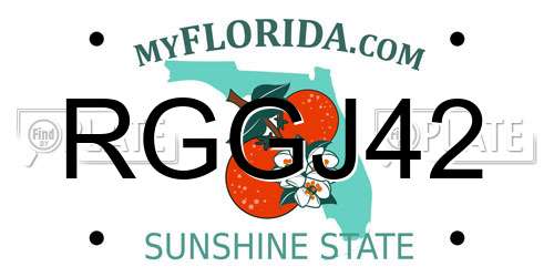 RGGJ42 Florida License Plate