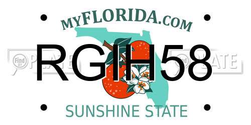 RGIH58 Florida License Plate