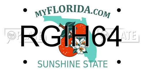 RGIH64 Florida License Plate