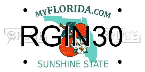 RGIN30 Florida License Plate