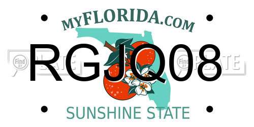 RGJQ08 Florida License Plate