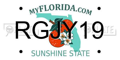 RGJY19 Florida License Plate
