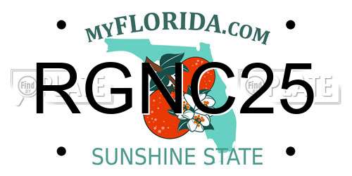 RGNC25 Florida License Plate