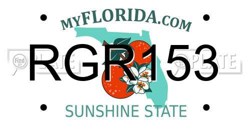 RGR153 Florida License Plate