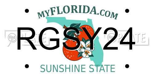 RGSY24 Florida License Plate