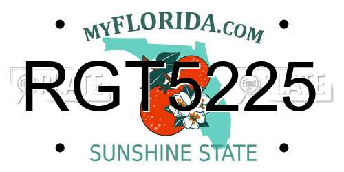 RGT5225 Florida License Plate