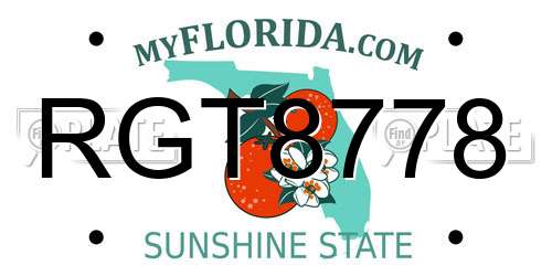 RGT8778 Florida License Plate