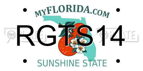 RGTS14 Florida License Plate