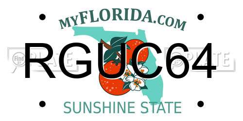 RGUC64 Florida License Plate