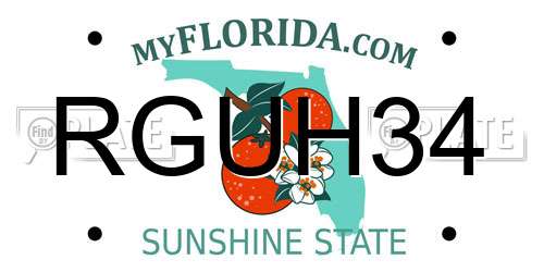 RGUH34 Florida License Plate