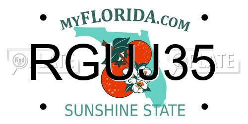 RGUJ35 Florida License Plate