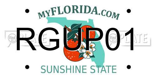 RGUP01 Florida License Plate