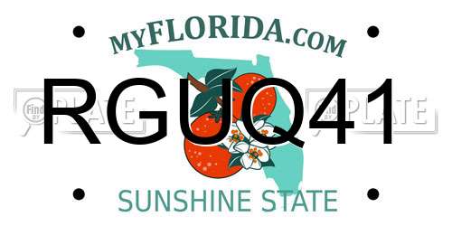 RGUQ41 Florida License Plate