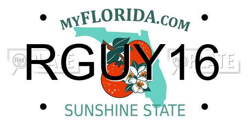 RGUY16 Florida License Plate