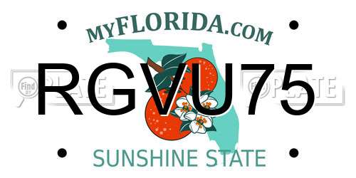 RGVU75 Florida License Plate