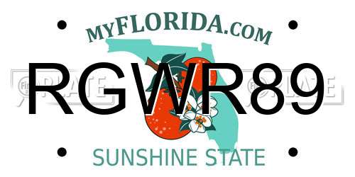 RGWR89 Florida License Plate