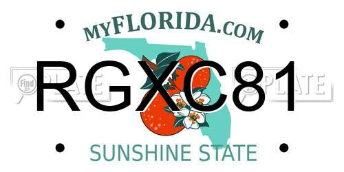 RGXC81 Florida License Plate