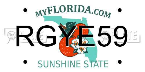 RGYE59 Florida License Plate