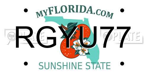 RGYU77 Florida License Plate