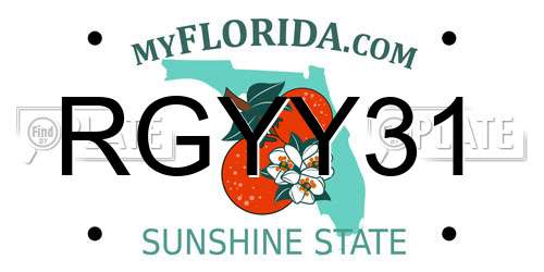 RGYY31 Florida License Plate