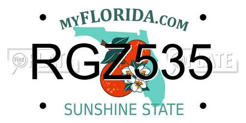 RGZ535 Florida License Plate
