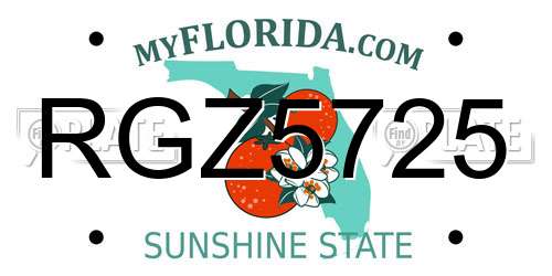 RGZ5725 Florida License Plate