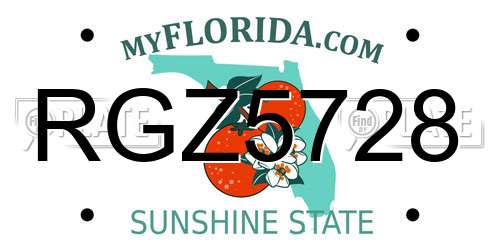 RGZ5728 Florida License Plate