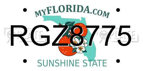 RGZ8775 Florida License Plate
