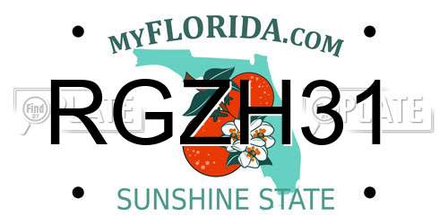 RGZH31 Florida License Plate