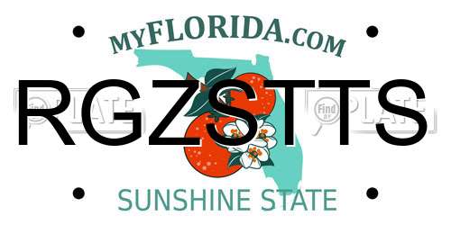RGZSTTS Florida License Plate