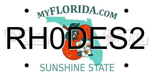 RH0DES2 Florida License Plate