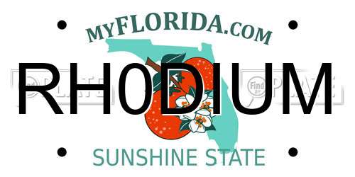 RH0DIUM Florida License Plate