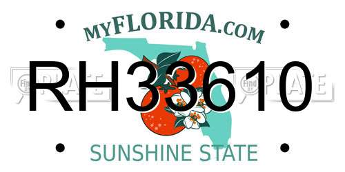 RH33610 Florida License Plate