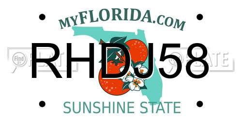 RHDJ58 Florida License Plate