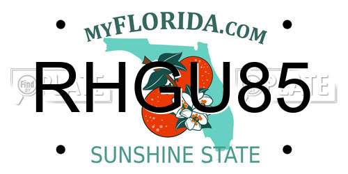 RHGU85 Florida License Plate