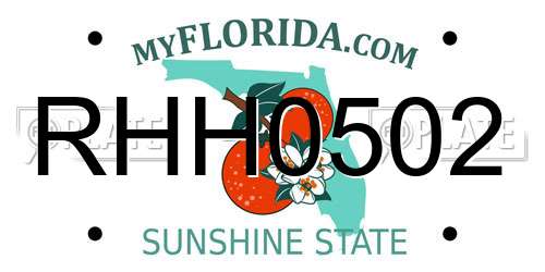 RHH0502 Florida License Plate